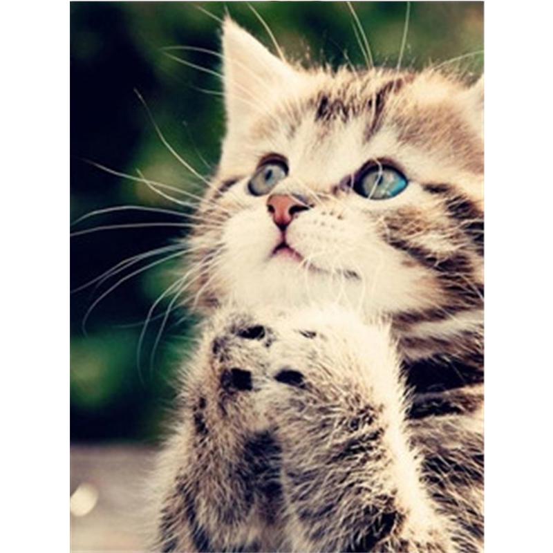 5D DIY Diamant Gemälde voller Bohrer Runde Liebhaber Katze Mosaik Kunst Stickerei Tiere Muster handgefertigt 20X30CM von Joom DACH