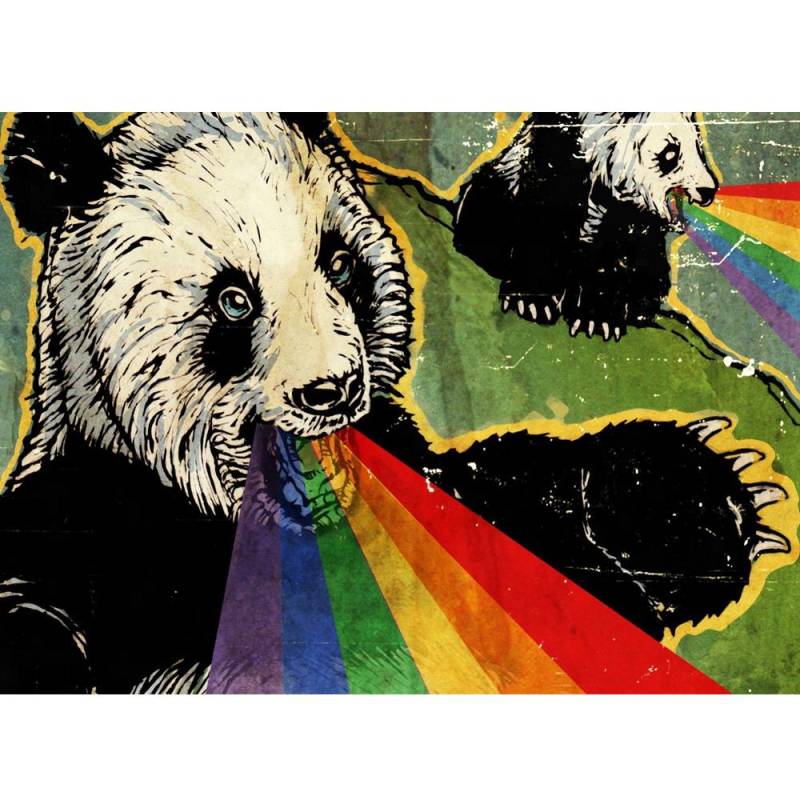 5D DIY Diamant Malerei Farbe Zeichnung Riesen Panda Mosaik Kreuzstich Kunst Regenbogen Muster Diamant Stickerei Handwerk Home Decoration Full Round (20X30CM) von Joom DACH