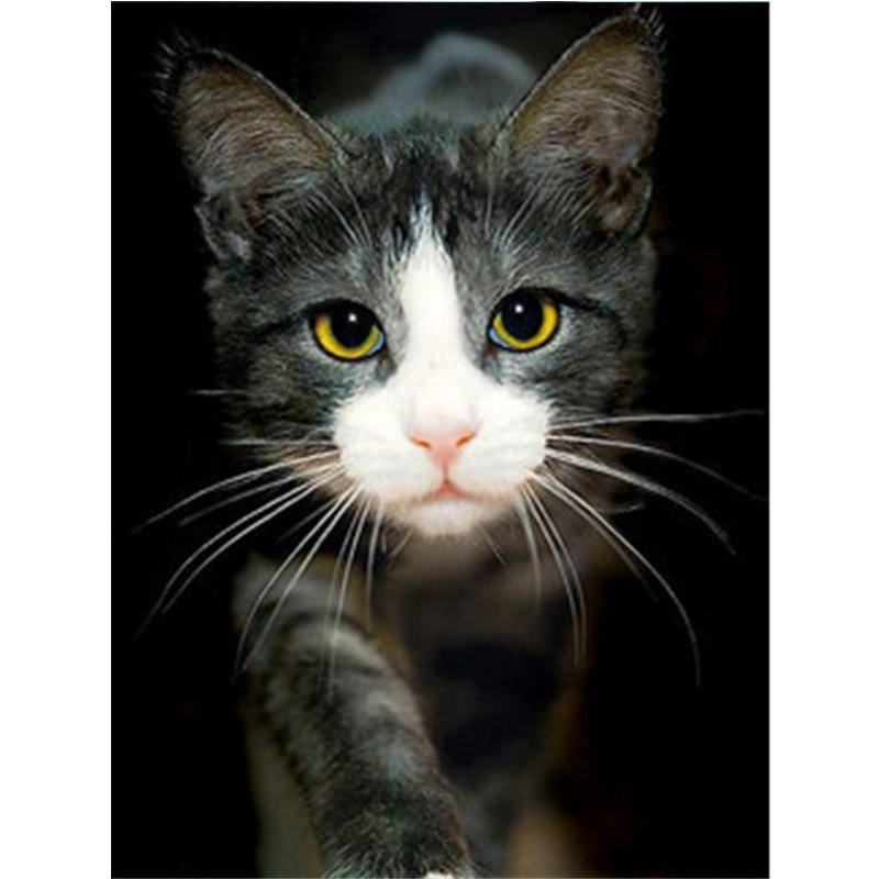 5D DIY Diamant Stickerei Tier Katze Mosaik Muster Diamant Bild Kreuzstich Home Dekoration 20X30CM von Joom DACH