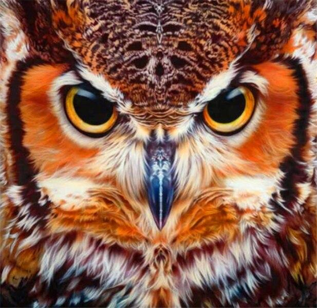 5D Diamant Kunst Malerei Tier Diamant Stickerei Kreuzstich Eule Bilder von Strass Mosaik Handwerk Full Round 30x30CM elfenbein von Joom DACH