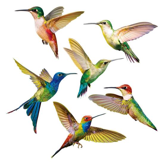 6 Stück Kolibri-Aufkleber, langlebig, umweltfreundlich, kollisionssicher, PVC-Dekoration, Tier-Fensteraufkleber für Wohnzimmer 6pcs 6 Stück Kolibri-Aufkleber, langlebig, umweltfreundlich, kollisionssicher, PVC-Dekoration, Tier-Fensteraufkleber für Wohnzimmer 6pcs von Joom DACH