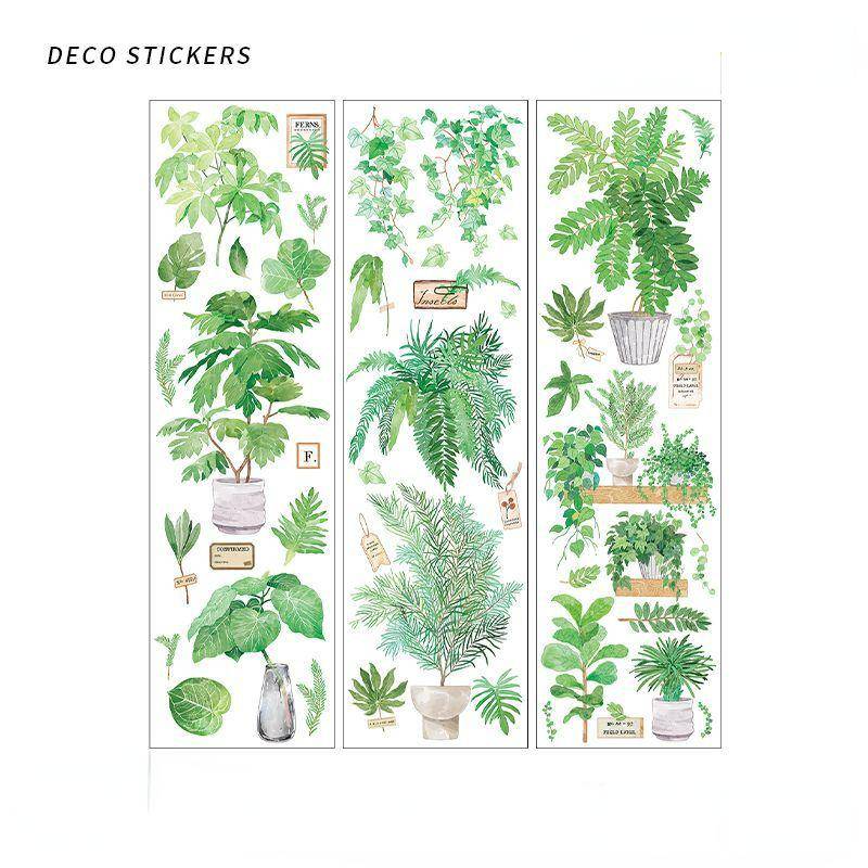 6Pcs Grüne Pflanze Obst Dekorative Pet Aufkleber Vintage Handbuch Scrapbooking Label Tagebuch Schreibwaren Album Telefon Journal Planer von Joom DACH