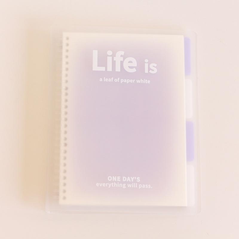 A5 B5 Transparentes Notizbuch mit losen Blättern, Farbverlauf, Notizblock, Tagebuch, Notizbuch für Mittelschüler 142*210mm von Joom DACH