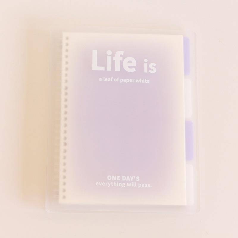 A5 B5 Transparentes Notizbuch mit losen Blättern, Farbverlauf, Notizblock, Tagebuch, Notizbuch für Mittelschüler 142*210mm von Joom DACH