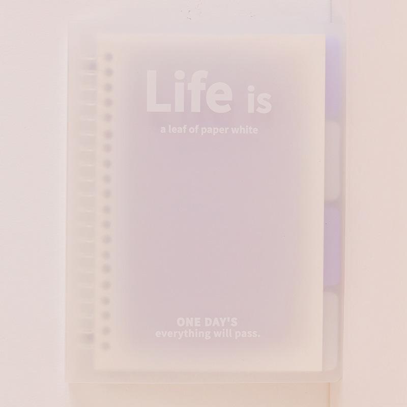 A5 B5 Transparentes Notizbuch mit losen Blättern, Farbverlauf, Notizblock, Tagebuch, Notizbuch für Mittelschüler 180*255mm von Joom DACH