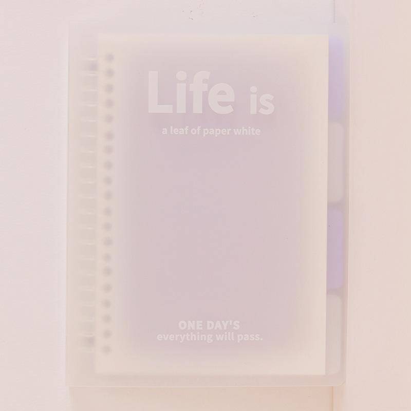 A5 B5 Transparentes Notizbuch mit losen Blättern, Farbverlauf, Notizblock, Tagebuch, Notizbuch für Mittelschüler 180*255mm von Joom DACH