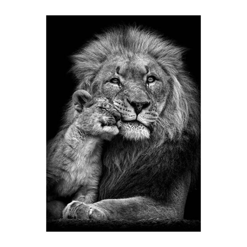 Afrikanischer Löwe im Dunkeln, Wandkunst, Poster und Drucke, Tiere, Leinwandkunst, Bilder, Stillleben, Gemälde, Heimdekoration 40x60cm no frame von Joom DACH