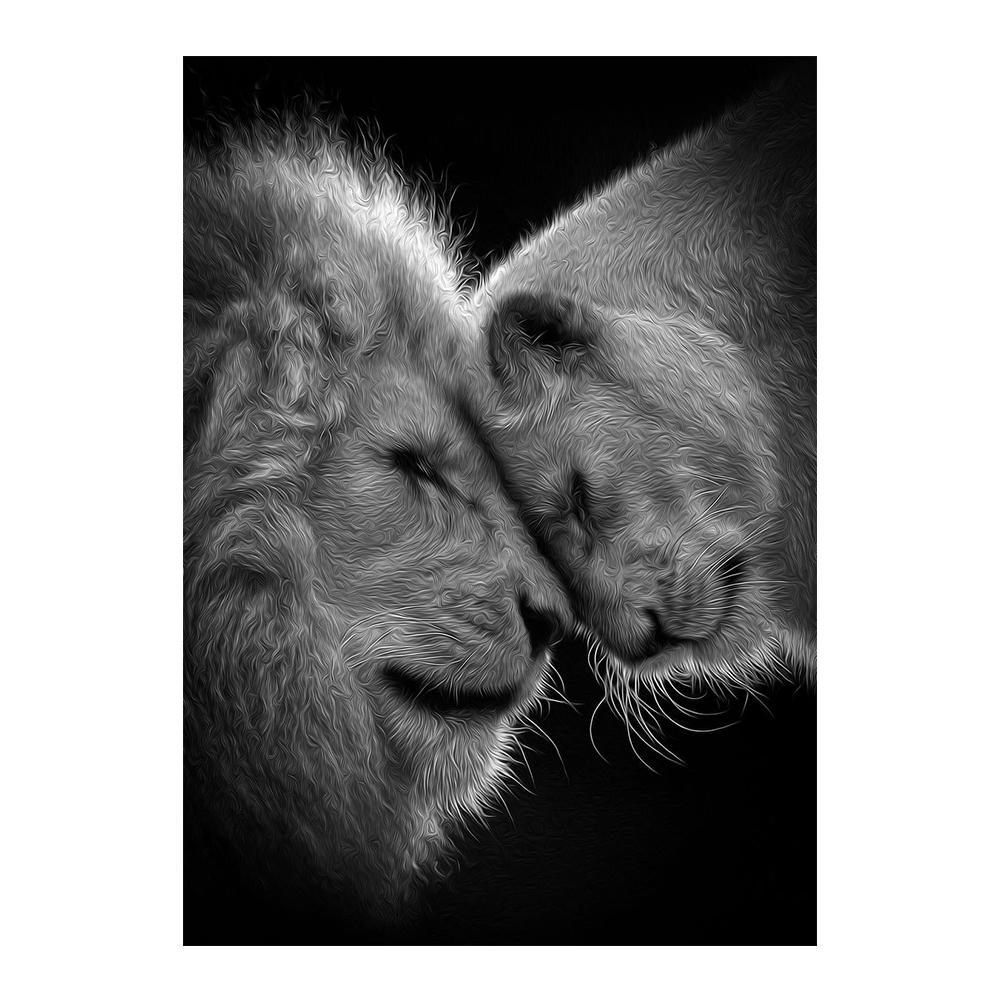 Afrikanischer Löwe im Dunkeln, Wandkunst, Poster und Drucke, Tiere, Leinwandkunst, Bilder, Stillleben, Gemälde, Heimdekoration 50x70cm no frame von Joom DACH