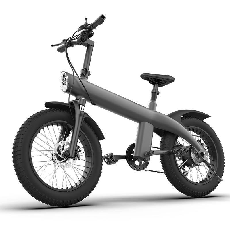 Alnsoor Q3 Faltbares Elektrofahrrad für Erwachsene 48V12.75Ah Akku 750W Urbanes Pendel-Elektrofahrrad 20 Zoll Offroad-Outdoor All-Terrain E-Bike grau von Joom DACH