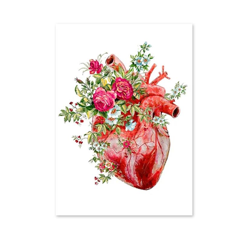 Anatomie Medizinische Blume Organ Wandkunst Leinwand Malerei Anthropologie Pädagogisches Poster Drucke für Labor Arzt Zimmer Dekor 40x50cm No Framed von Joom DACH