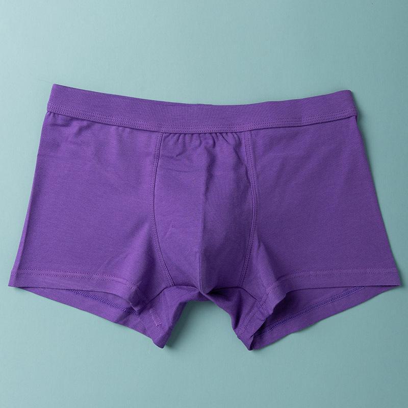 Atmungsaktive Herren-Boxershorts aus Baumwolle – einfarbig, trendige, lockere Passform, koreanischer Stil L violett von Joom DACH