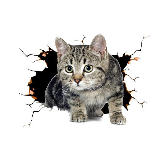 Auto 3D lustige Katze oder Hund Aufkleber Körper Kratzer Aufkleber Auto Aufkleber 6 von Joom DACH