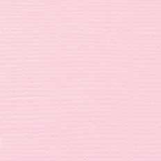 BAZZILL PETALSOFT SCRAP PAPIER Rosa, Fuchsie von Joom DACH