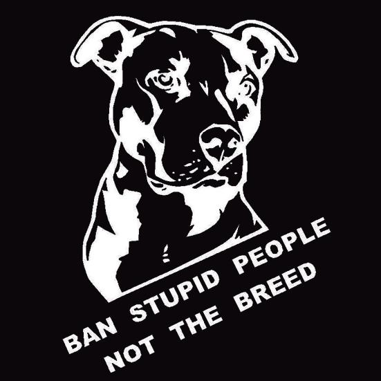 Ban Stupid People Not Breed Pitbull Auto Car Styling Sticker Body Window DecalMöbel & Wohnen, Dekoration, Wandtattoos & Wandbilder! weiß von Joom DACH