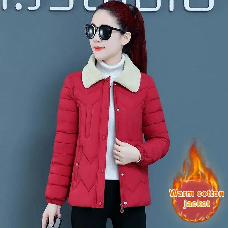 Baumwolljacke Damen Kurzabschnitt Frau. Kleine Baumwolljacke Koreanische Version der Slim-Down-Baumwolljacke mit modischem Wintermantel XXXXL rot Baumwolljacke Damen Kurzabschnitt Frau. Kleine Baumwolljacke Koreanische Version der Slim-Down-Baumwolljacke mit modischem Wintermantel XXXXL rot von Joom DACH
