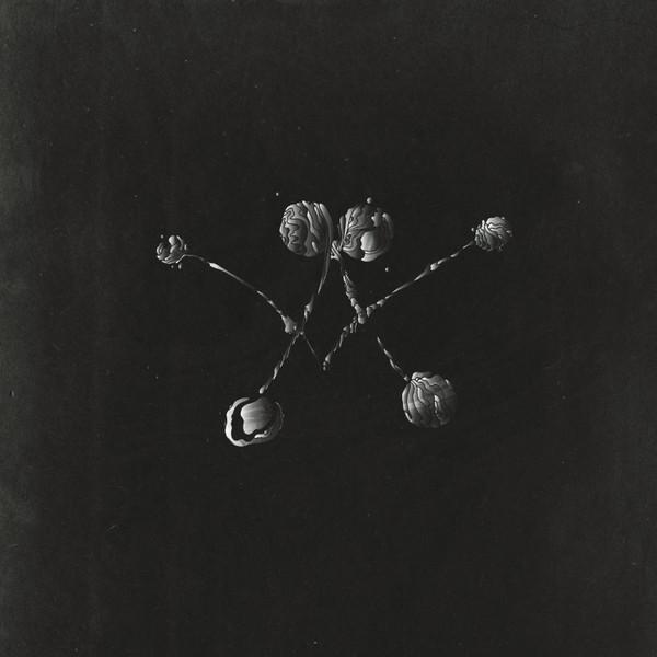 CD WATERSTRIDER - Nowhere Now  88985303042 Columbia Record 2016 USA & Cana Rock Gebraucht von Joom DACH