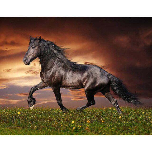 DIY 5D Diamant Malerei Pferd Kreuzstich voller runder Diamant Stickerei Tiere Mosaik Bild 20X30CM rose rot von Joom DACH