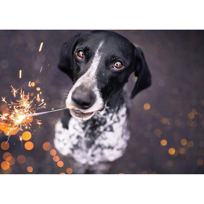 DIY-Diamant-Gemälde, Diamant-Stickerei, Kreuzstich, schwarze und weiße Hunde-Strasssteine 20X30CM von Joom DACH