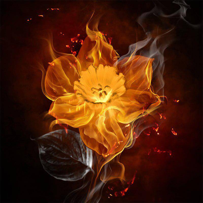 DIY Diamant Malerei Blume Feuer von Strass Kreuzstich volle Runde Diamant Stickerei Bilder 30x30CM von Joom DACH