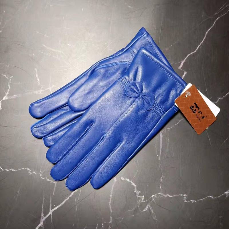 Damen Lederhandschuhe einfarbig Herbst Winter warme Schutzhandschuhe Outdoor-Zubehör blau von Joom DACH