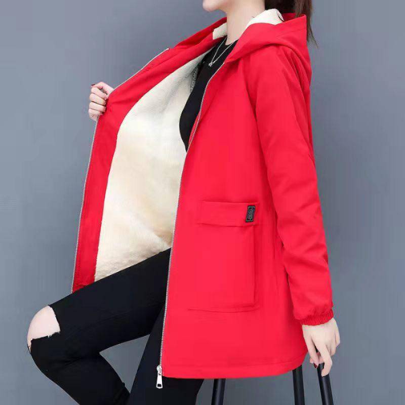 Damen-Windjacke aus Baumwolle in Übergröße, mittellang, mit Samtfutter – modischer dicker Mantel für Herbst/Winter (300 Jin) 8XL rot von Joom DACH