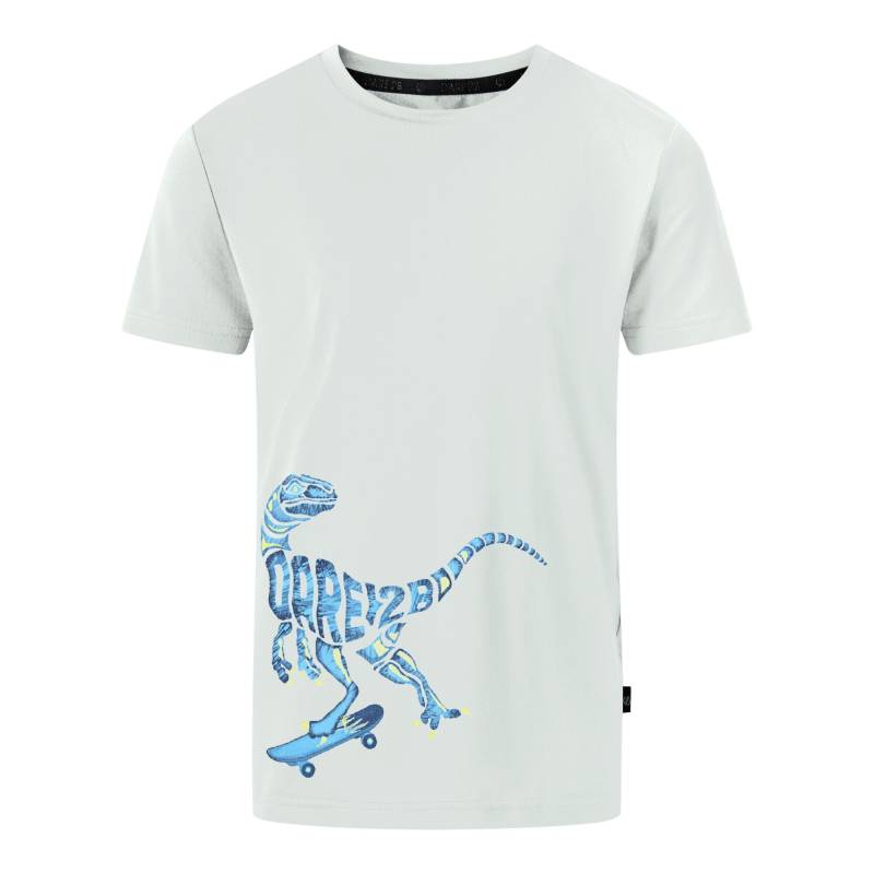 Dare 2B Jungen Amuse II Velociraptor T-Shirt 15 Years von Joom DACH