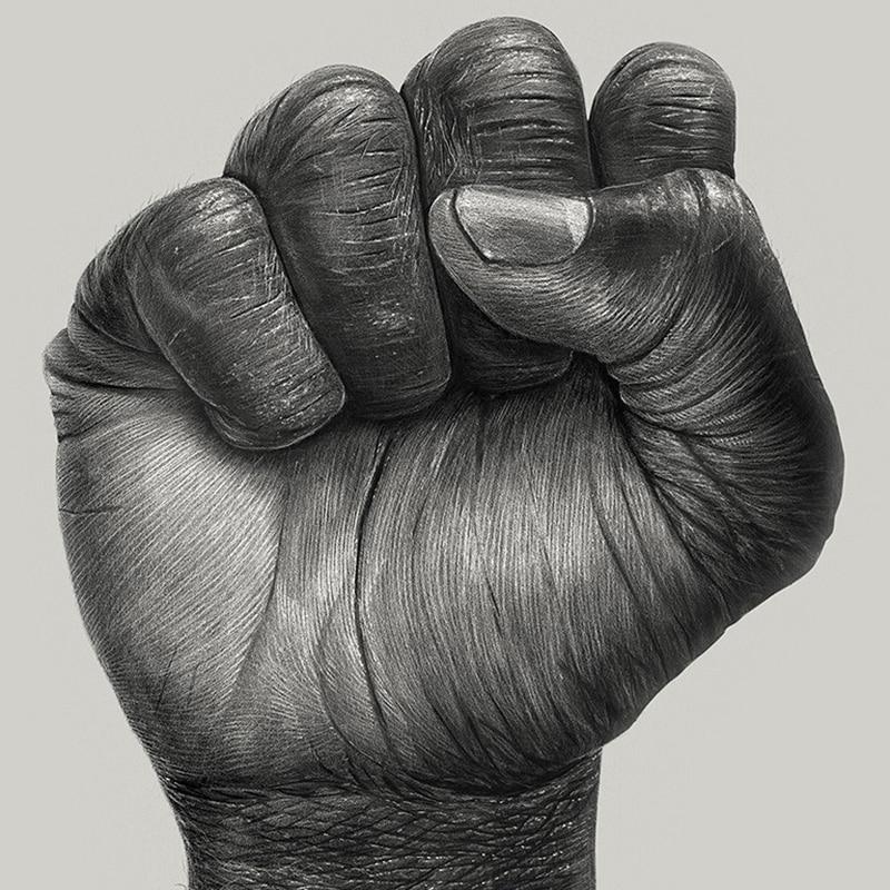 Diamant-Gemälde „We're Strength Fist“ Tier-Diamant-Stickerei, Kreuzstich, Handarbeit 20X30CM von Joom DACH