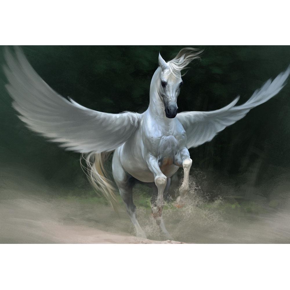 Diamant-Gemälde „fliegendes Pferd“ DIY 5D-Stickerei Kreuzstich voll quadratisch/rund Diamant-Mosaik Heimdekoration Kunst Full Square (20X30CM) von Joom DACH