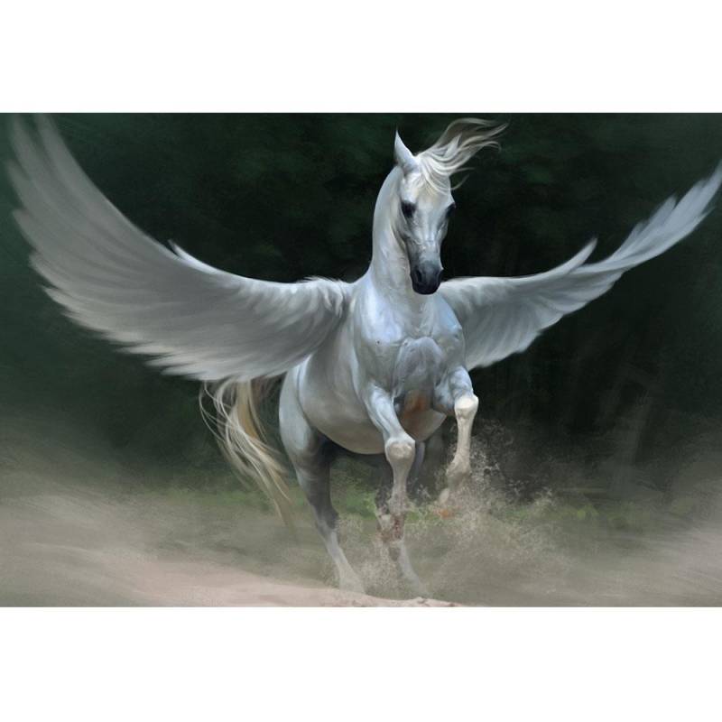 Diamant-Gemälde „fliegendes Pferd“ DIY 5D-Stickerei Kreuzstich voll quadratisch/rund Diamant-Mosaik Heimdekoration Kunst Full Square (20X30CM) von Joom DACH