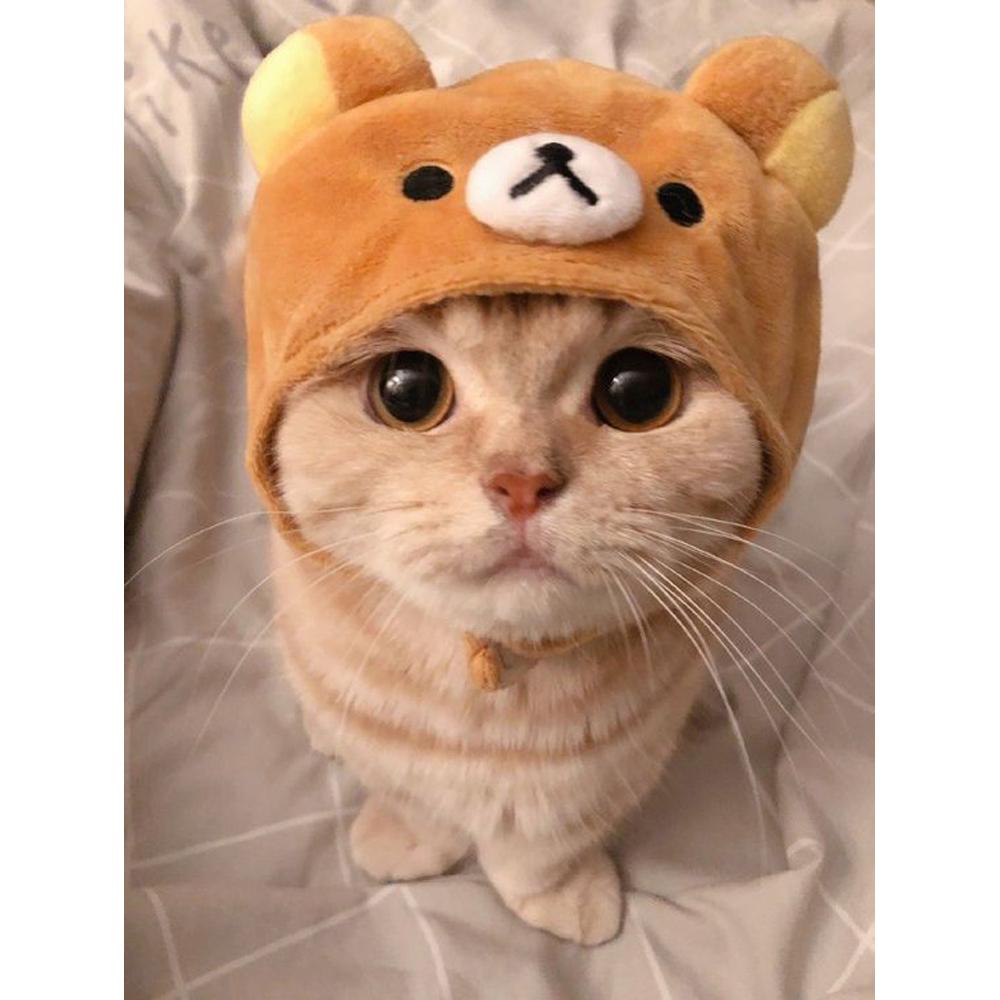 Diamant-Gemälde „schöne Katze“ DIY 5D-Stickerei Kreuzstich alle quadratischen / runden Diamant-Mosaik-Haustier-Heimdekorationskunst Full Square (20X30CM) von Joom DACH