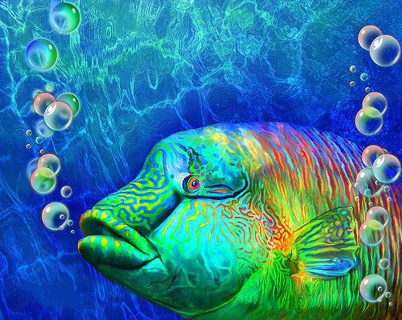Diamant-Malerei, Blasenfisch, Diamant-Stickerei, Kunsthandwerk, Heimdekoration, digitale Malerei, Symbol-Aufkleber 20X30CM von Joom DACH