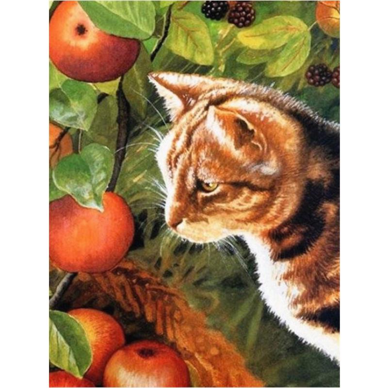 Diamant Malerei Katze Apfel 5D Diy Diamant Stickerei Tier Mosaik Bild Home Dekoration 20X30CM von Joom DACH
