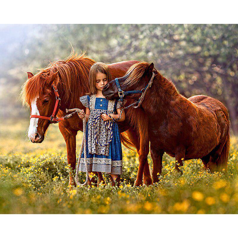 Diamant-Malerei-Stickerei Mädchen führte das Pferd Kreuzstich Strass Mosaik Home Decor Geschenk 20X30CM von Joom DACH