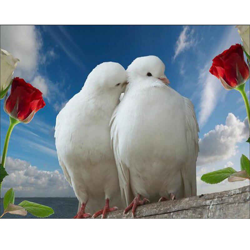 Diamant Stickerei Acryl Landschaft Taube Wand Aufkleber Voll Bohrer Schlafzimmer Dekor Fabrik Direkt 20X30CM von Joom DACH