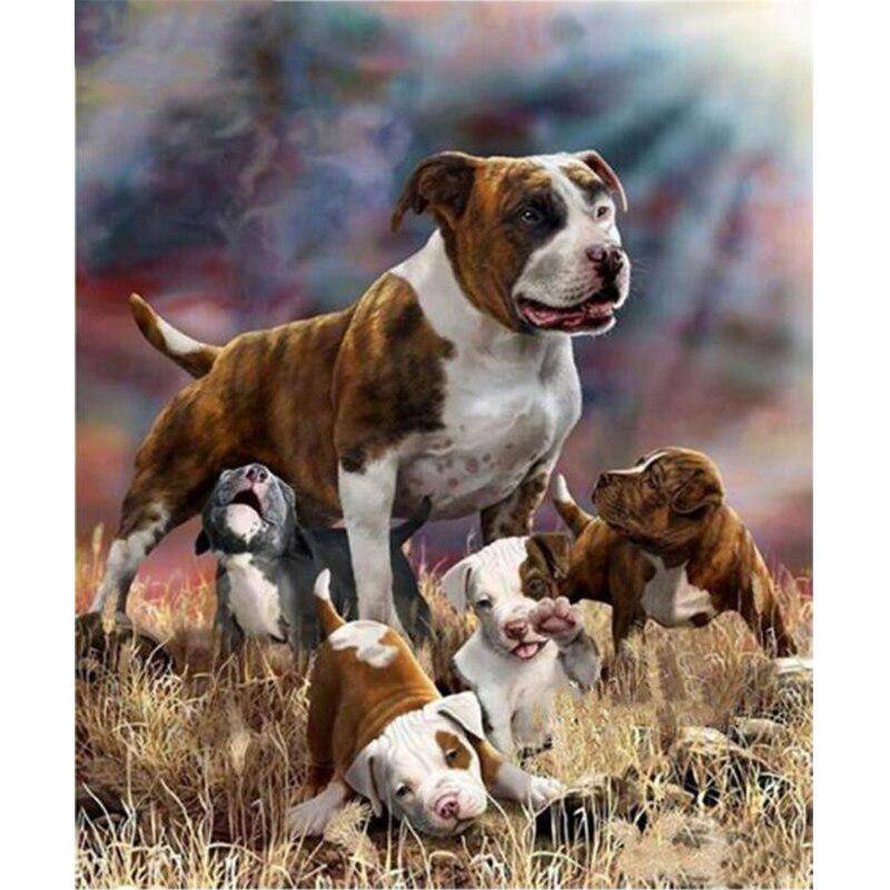 Diamantmalerei Pit Bull Terrier Hund Vollbohrer Strass Stickerei Bilder Küche Kunsthandwerk 20X30CM von Joom DACH