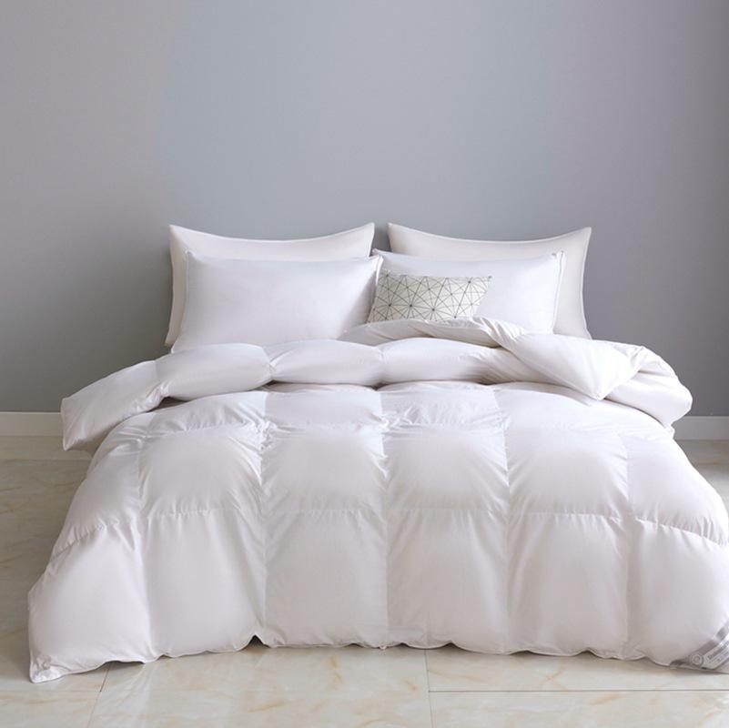 Dicke, warme, weiße Baumwoll-Daunendecke – Plüschige Winterbettwäsche 220x240cm/10 jin von Joom DACH