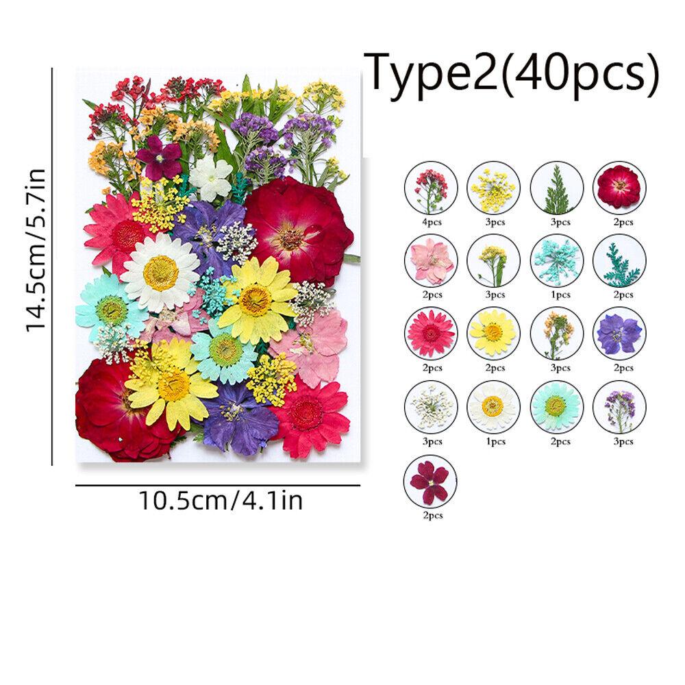 Echte getrocknete Pressblumen zum Basteln von Kerzen, DIY-Harz-Schmuckdekorationen Type 2(40Pcs) von Joom DACH