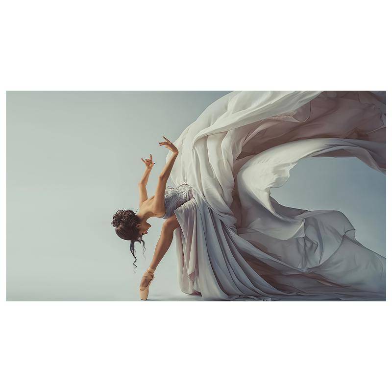 Elegante tanzende moderne Kunst Frau Körperkunst Ölgemälde Leinwand Malerei Cuadros Hintergrund Wanddekoration 40x80cm von Joom DACH