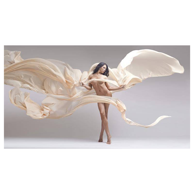 Elegante tanzende moderne Kunst Frau Körperkunst Ölgemälde Leinwand Malerei Cuadros Hintergrund Wanddekoration 40x80cm von Joom DACH