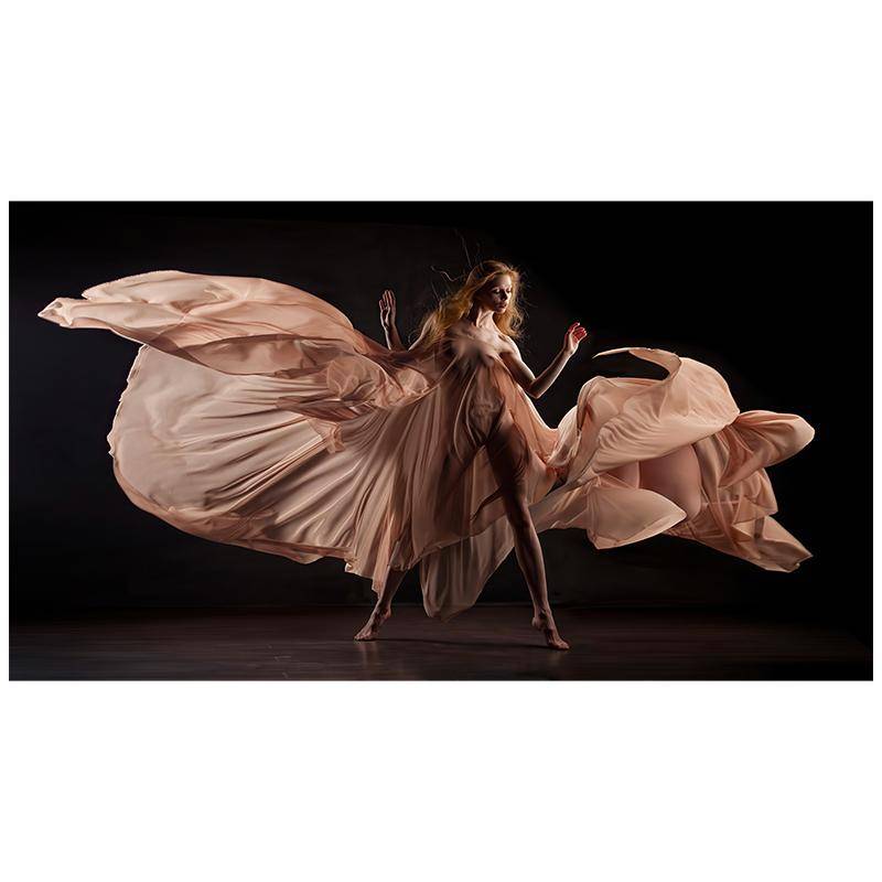 Elegante tanzende moderne Kunst Frau Körperkunst Ölgemälde Leinwand Malerei Cuadros Hintergrund Wanddekoration 50x100cm von Joom DACH