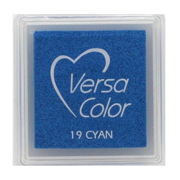 VersaColor Mini-Stempelkissen für Tsukineko-Stempel – VersaColor:Cyan von Joom DACH