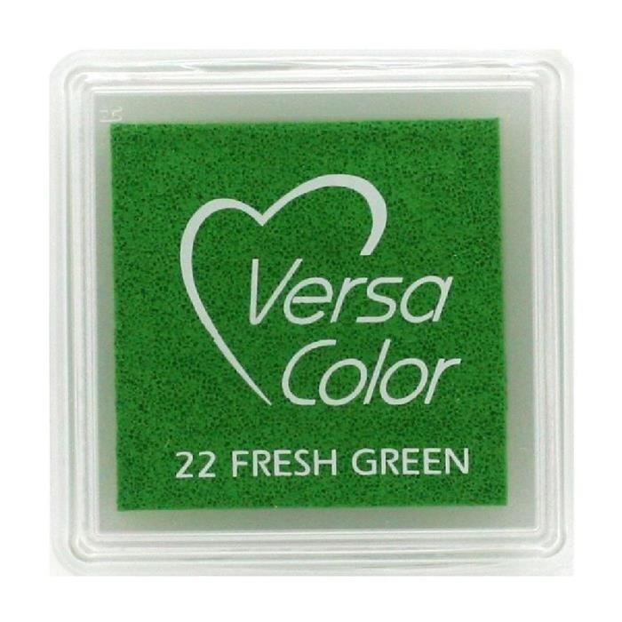 VersaColor Mini-Stempelkissen für Tsukineko-Stempel – VersaColor:Frisches Grün von Joom DACH