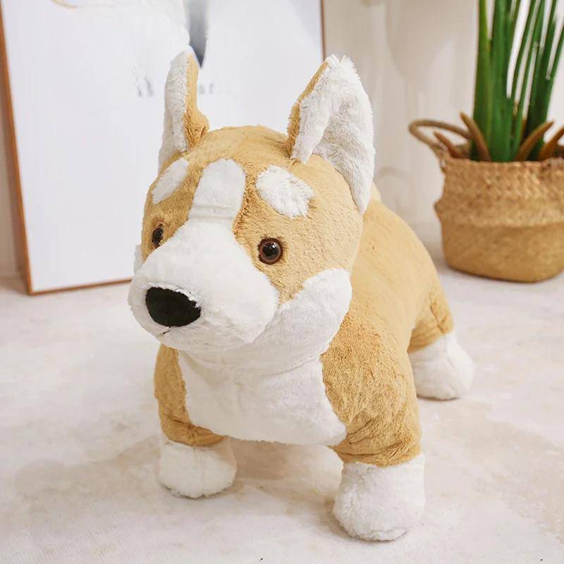 Entzückendes Corgi-Hunde-Plüschtier, ausgestopftes weiches Tier-Cartoon-Kissen, Kawaii, lebensechte Welpenpuppe, schöne Geschenke für Kinder und Mädchen 30cm gelb von Joom DACH