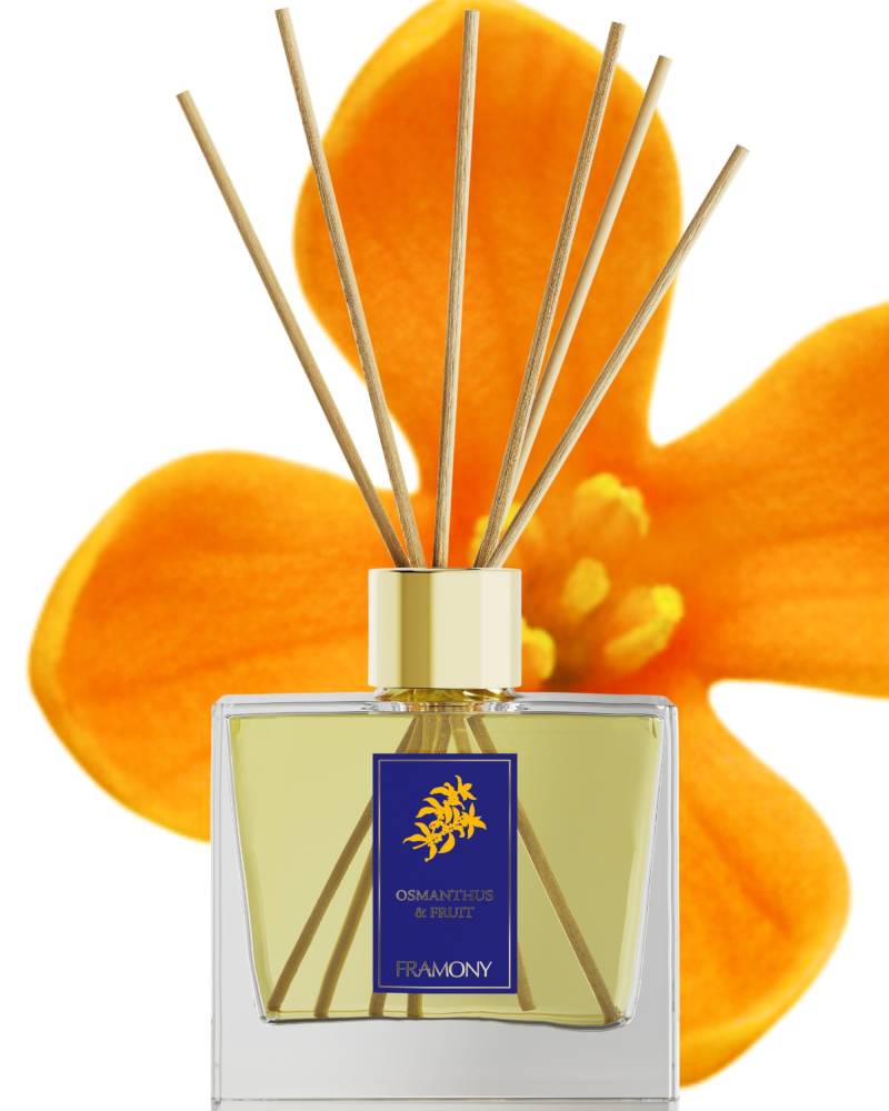 FRAMONY Reed Osmanthus und Herbst 200ml Raumlufterfrischer Geschenk Äthanolfreier Diffusor, Frucht, Duft, (Duftende Goldorange), Duft, Lufterfrischer, weiß von Joom DACH