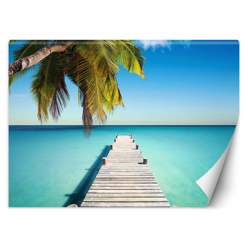 Fototapete Brücke Palme Strand Meer 100x70 blau Fototapete Brücke Palme Strand Meer 100x70 blau von Joom DACH