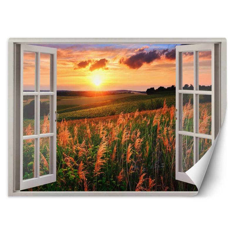 Fototapete Fenster mit Blick auf den Sonnenuntergang über der Wiese 140x100 bunt von Joom DACH
