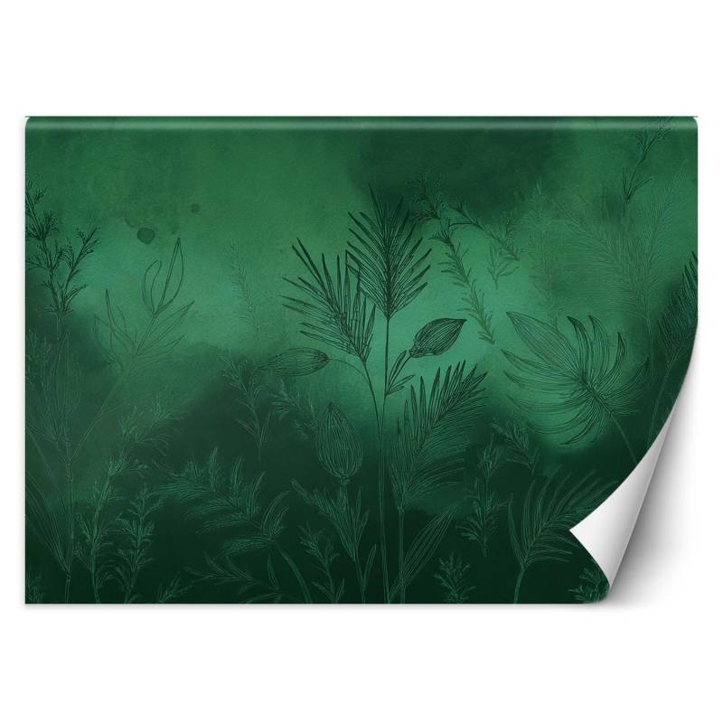 Fototapete Grüne Botanik Abstraktion 100x70 grün von Joom DACH