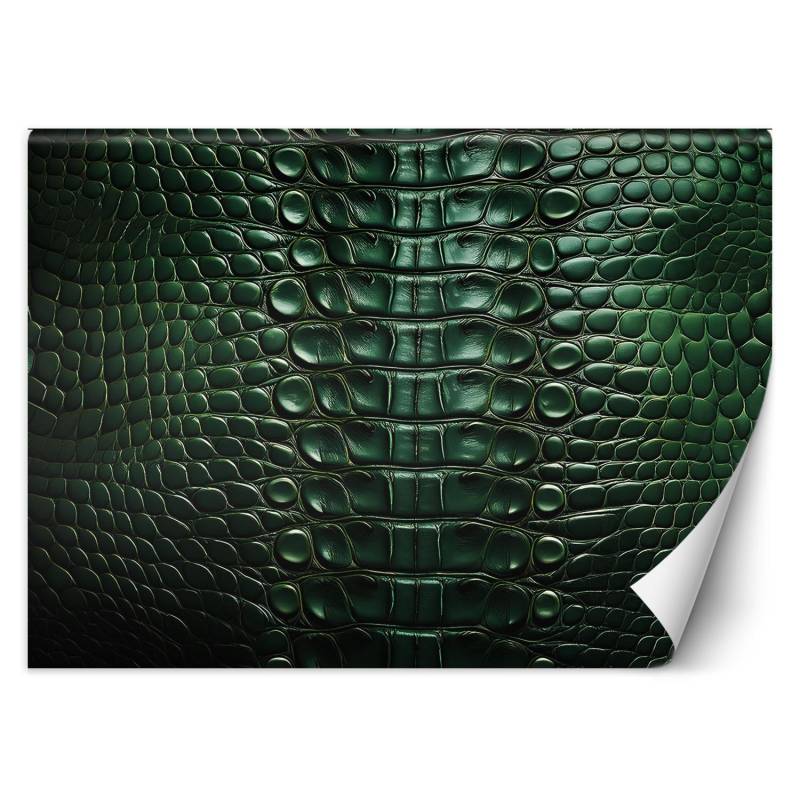 Fototapete Grüne Schlangenhaut 100x70 grün von Joom DACH