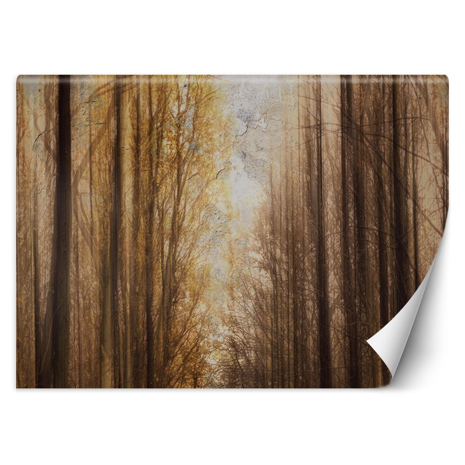 Fototapete Herbst Wald Bäume 100x70 beige von Joom DACH
