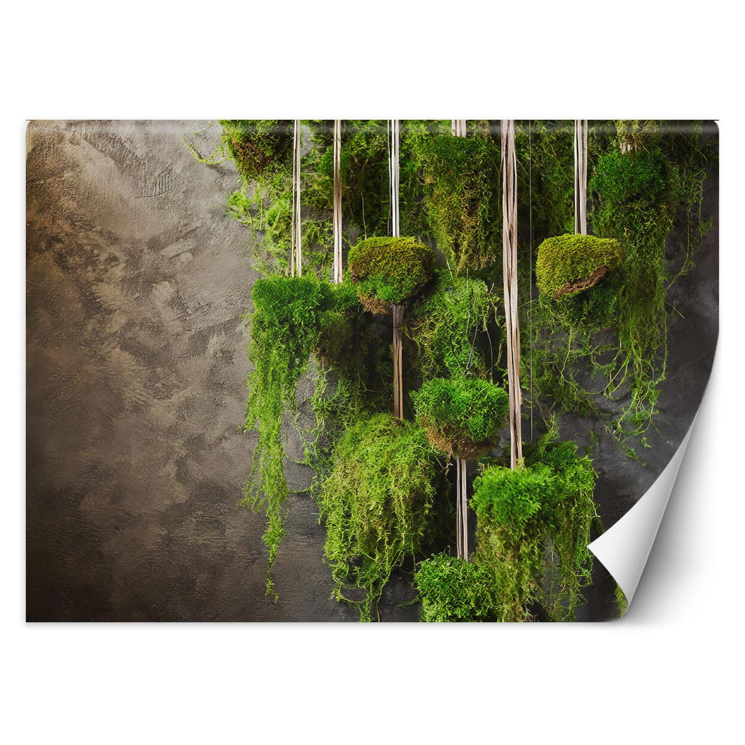 Fototapete Moos Pflanze Botanik 100x70 grün von Joom DACH